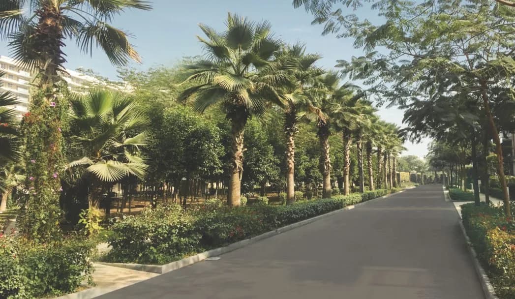 International City by SOBHA Phase 2 — International City by SOBHA Phase 2 Amenity 1