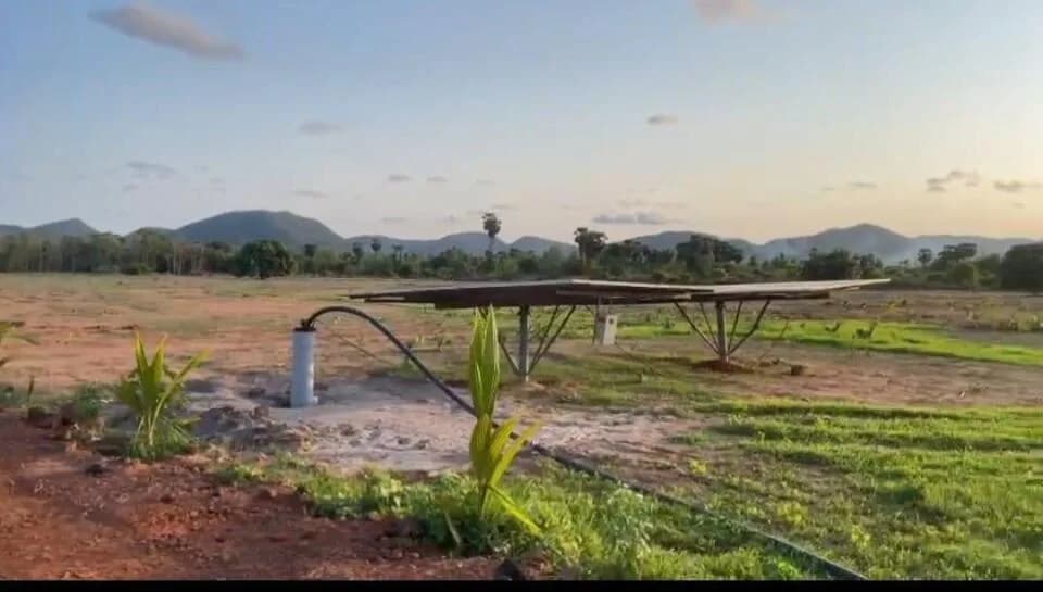 High Chandan Beach Valley — Site View