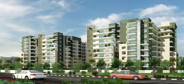 Reddy Mahaveer Oleander, Hosur Road