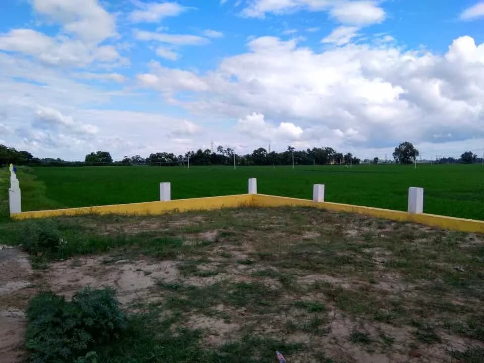 Delcon City, Bihta