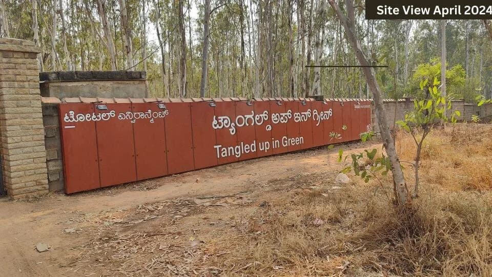 Tangled Up in Green, Devanahalli
