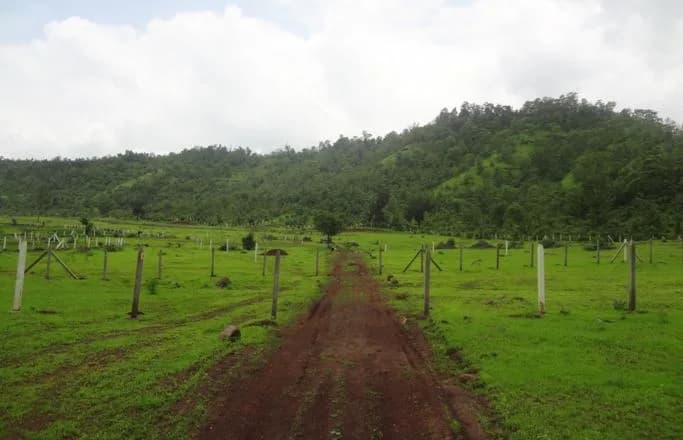 2nd Home My Village, Shahpur