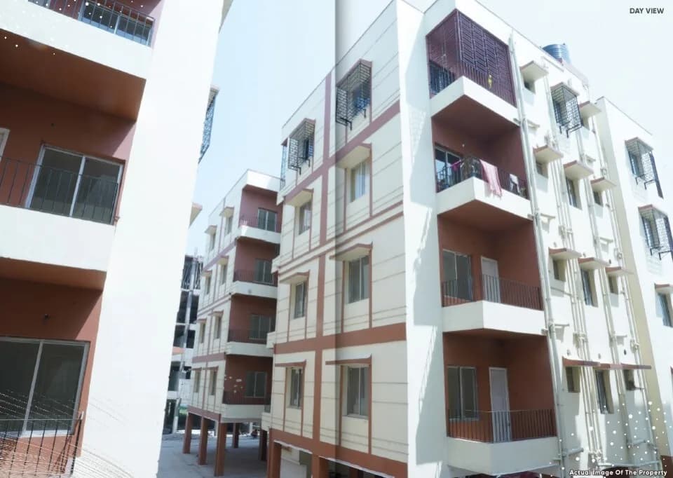 Larica Green Pailan, Joka
