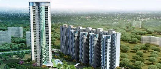 Rudra Pavo Real — Aerial View