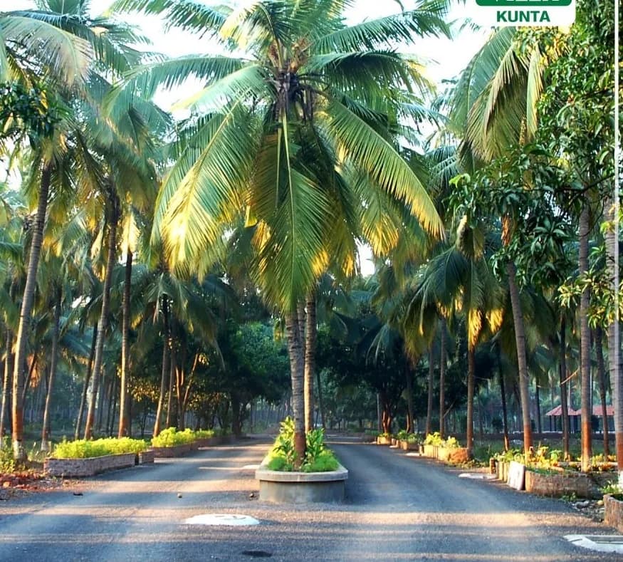 Royal Villa, Kunta