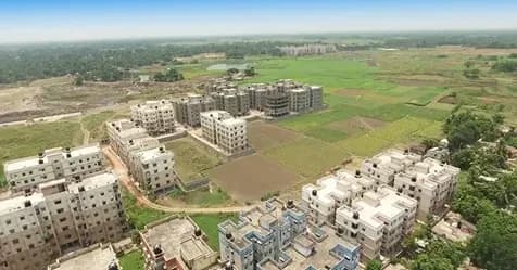 Larica Plots, Barasat