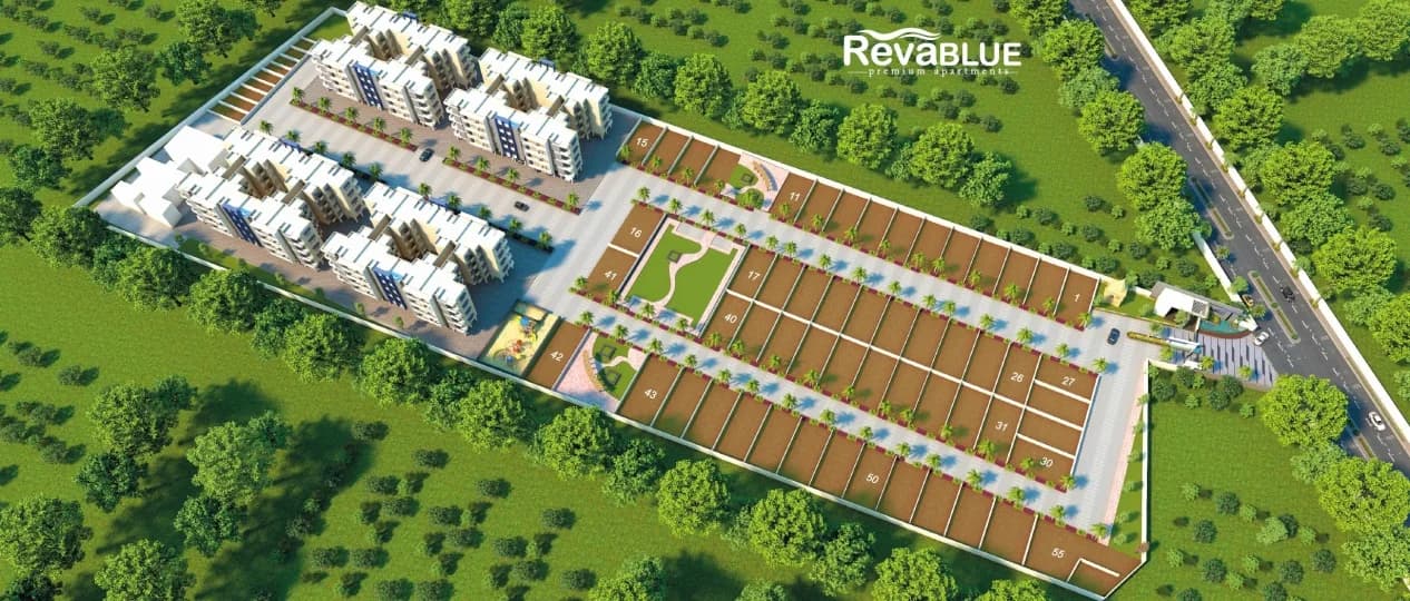 Sheel Reva Blue, Rasuliya