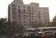 Daffodil Apartment, Chembur