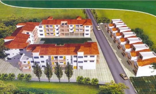 Queeny Meadows — Top View