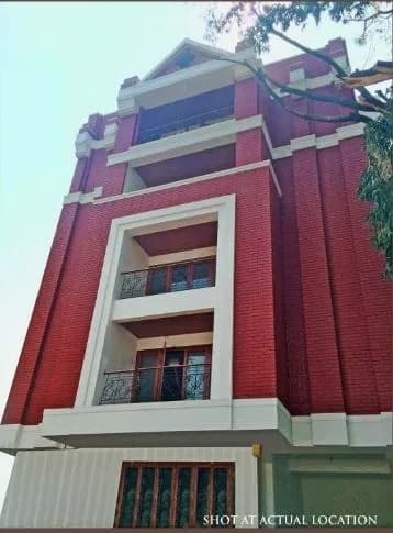 Redifice Bird of Paradise, Sadashiva Nagar