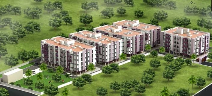 DCC Canarites Daffodills — Aerial View