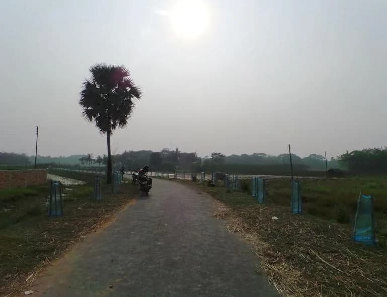 Green View Amrita Village — Paved Road