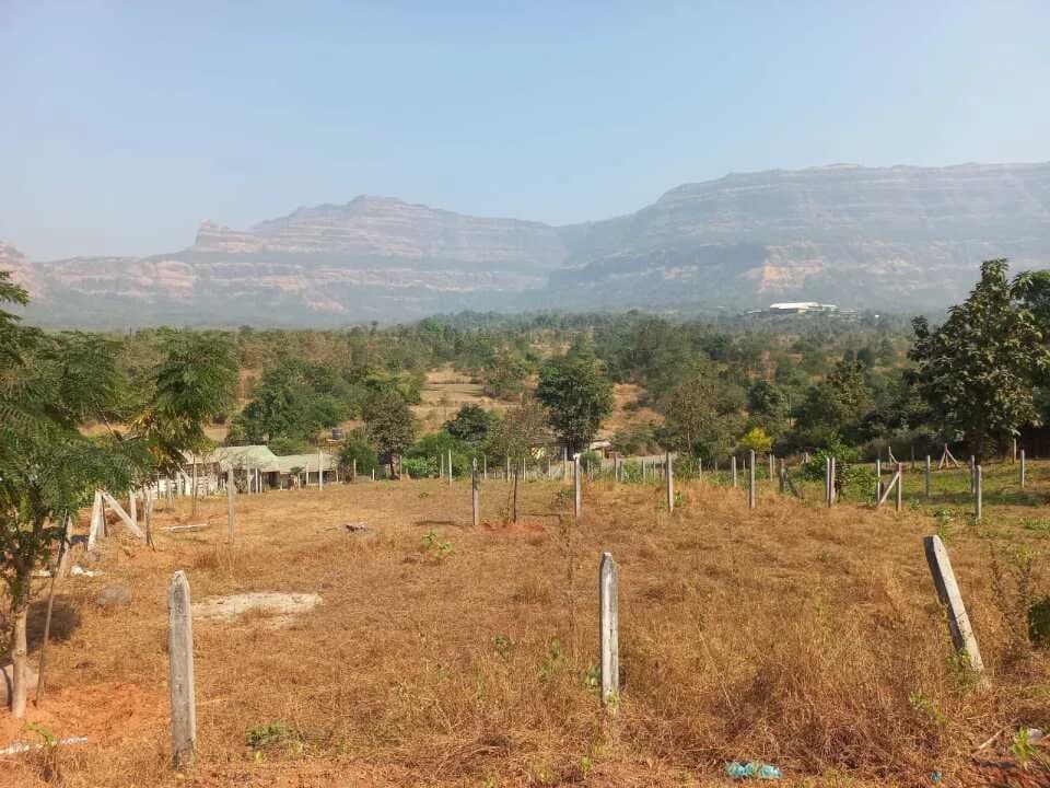 Riverain Valley — Site View