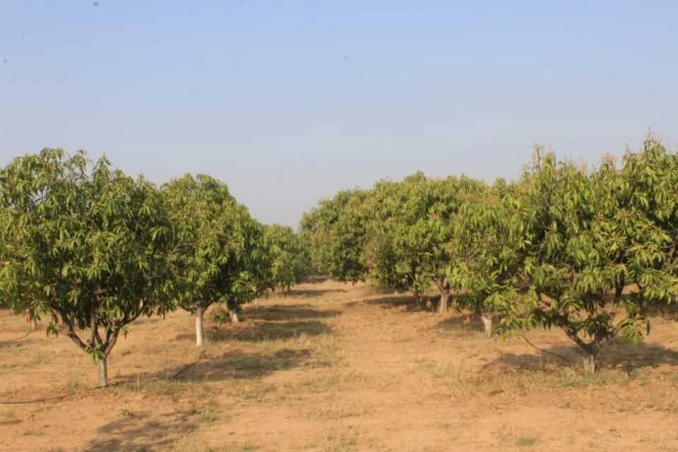 V9 Acres Farm Plots, Patancheru