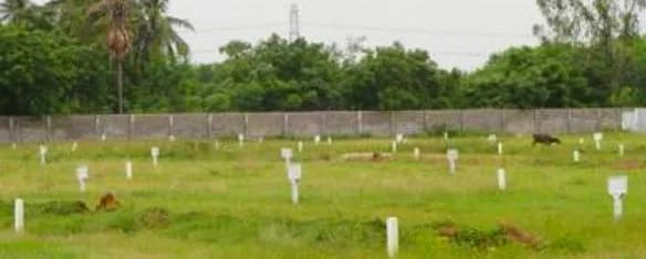 Manors Land Plots, Tada