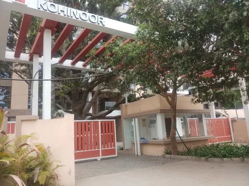 Kohinoor Falcon, Sus 