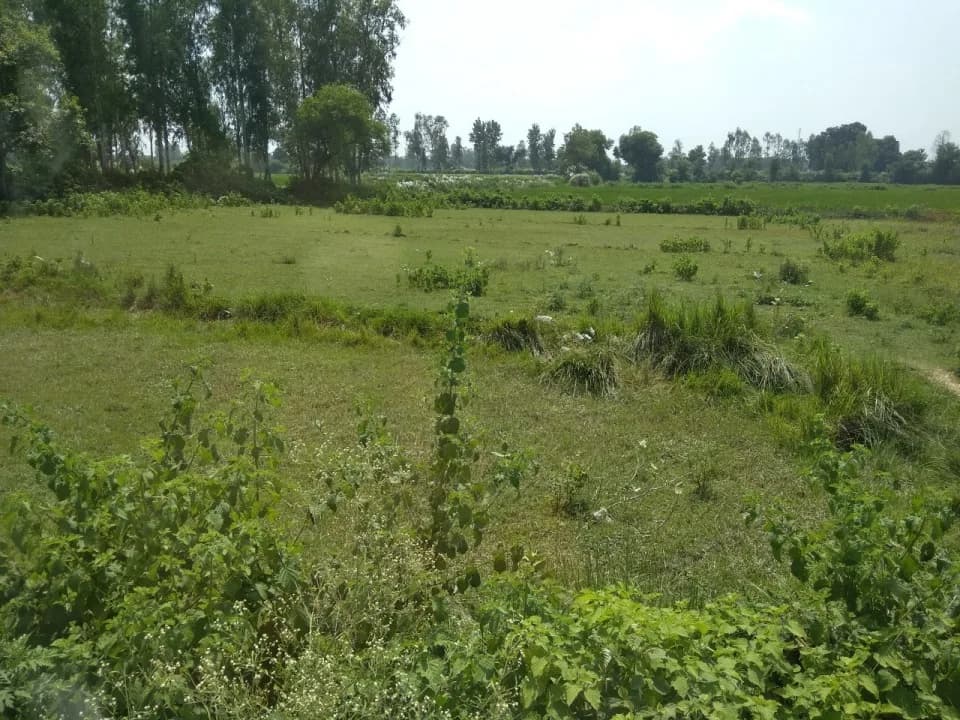 Real Vision Plots, Faizabad Road