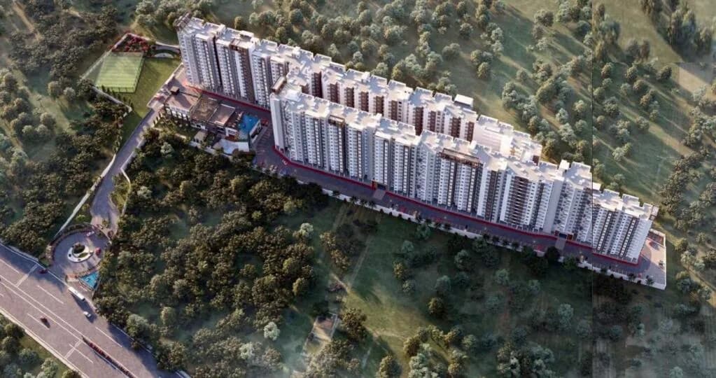 Euphoria in The East, Whitefield