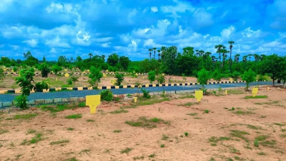 Subham Royal Green City, Throvagunta