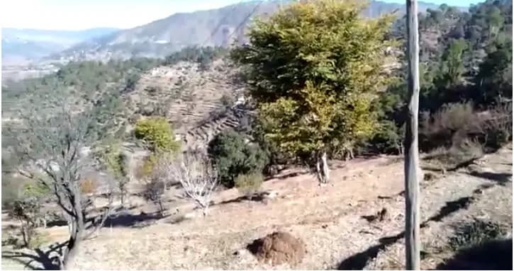 White Individual Plotting Project, Mukteshwar