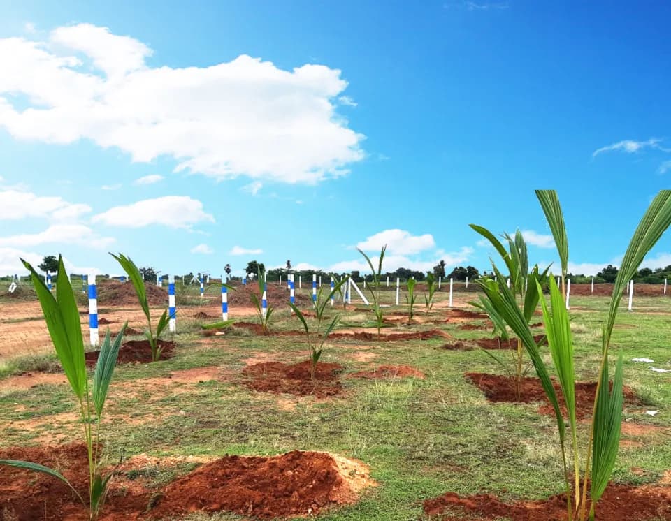 Pride Joy Farms, Ottagapalayam