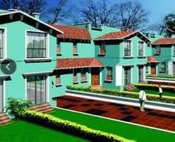 Merlin Greens, Amtala 