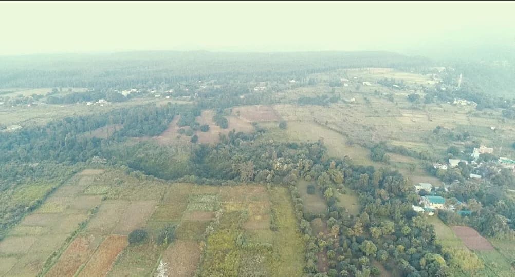 Investors Dhaulas Nature Farms, Dhaulas