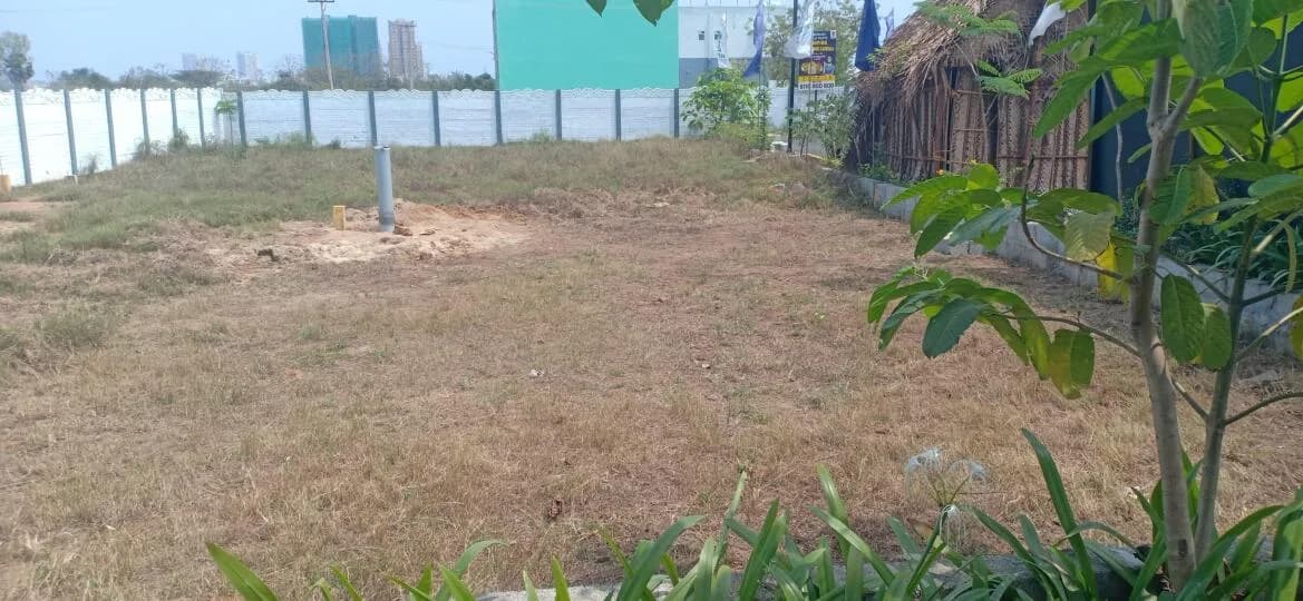 Empire Blooming Garden — Site View