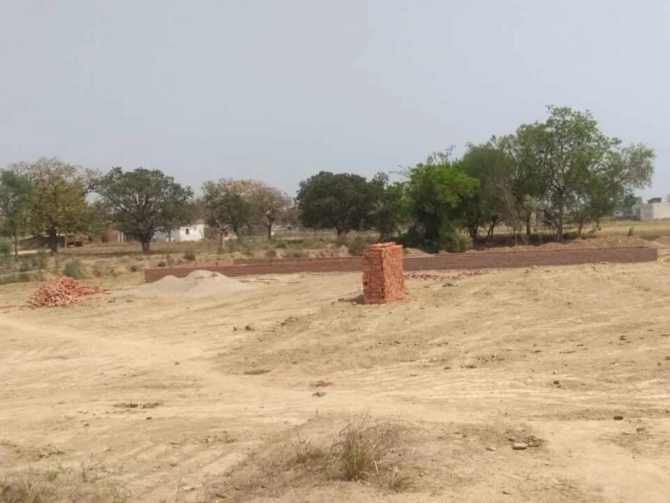 Rovis Royal City, Naini