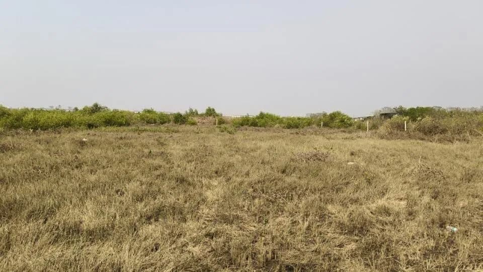 Landcity Properties Lands and Plots, Punade