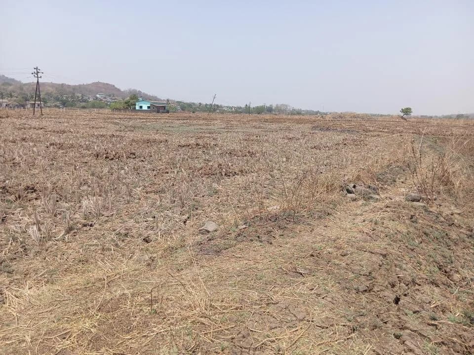 Investland Mumbai 3, Sarde