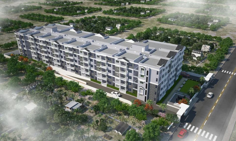 Camellia Pride — Aerial View