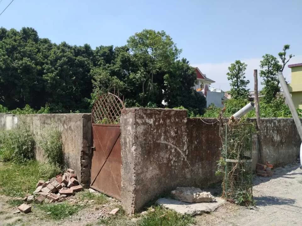 Balaji Plot, Vasant Vihar