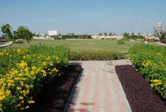 Samyak Gold — Landscape Garden