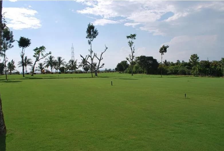 Skytop Golf Village — Actual Garden