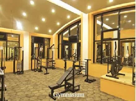 Subishi Mist Luxury Homes — Gymnasium