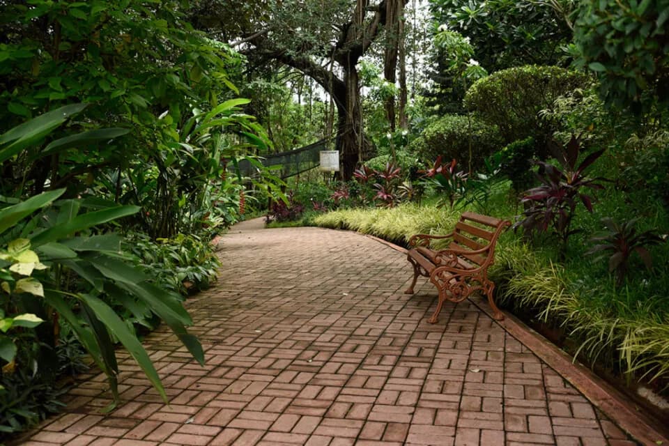 Aldeia De Goa, Bambolim