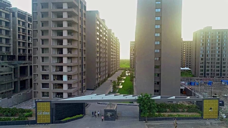 Avadh Carolina, Dumas