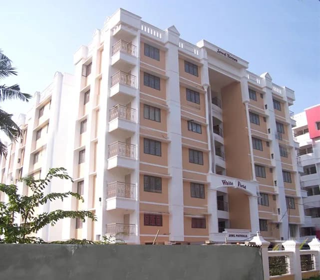 Jewel White Field, Kaloor 