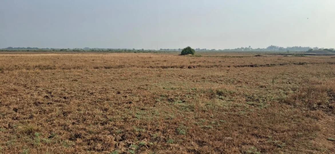 Parvat Premium Plots, Ranjanpada