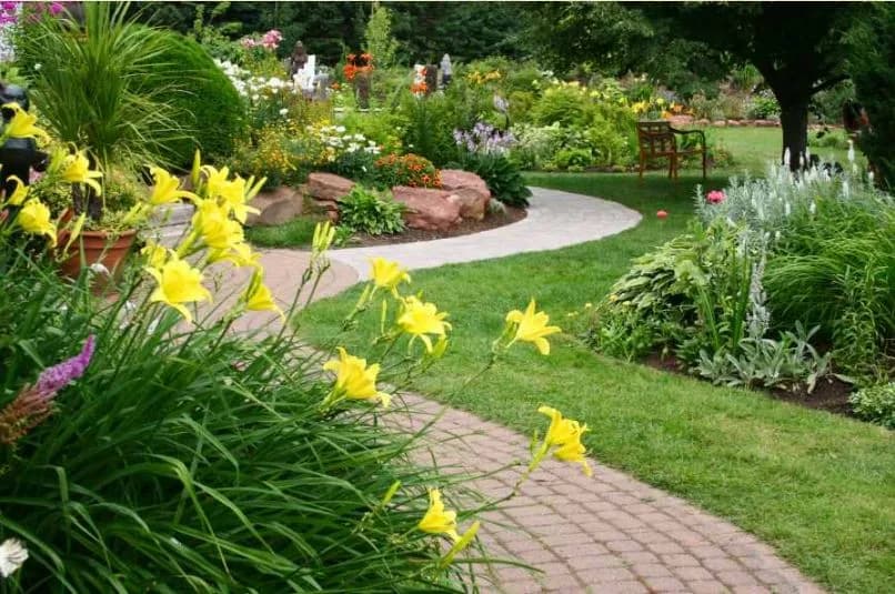 Sun Sand Dunes — Garden View