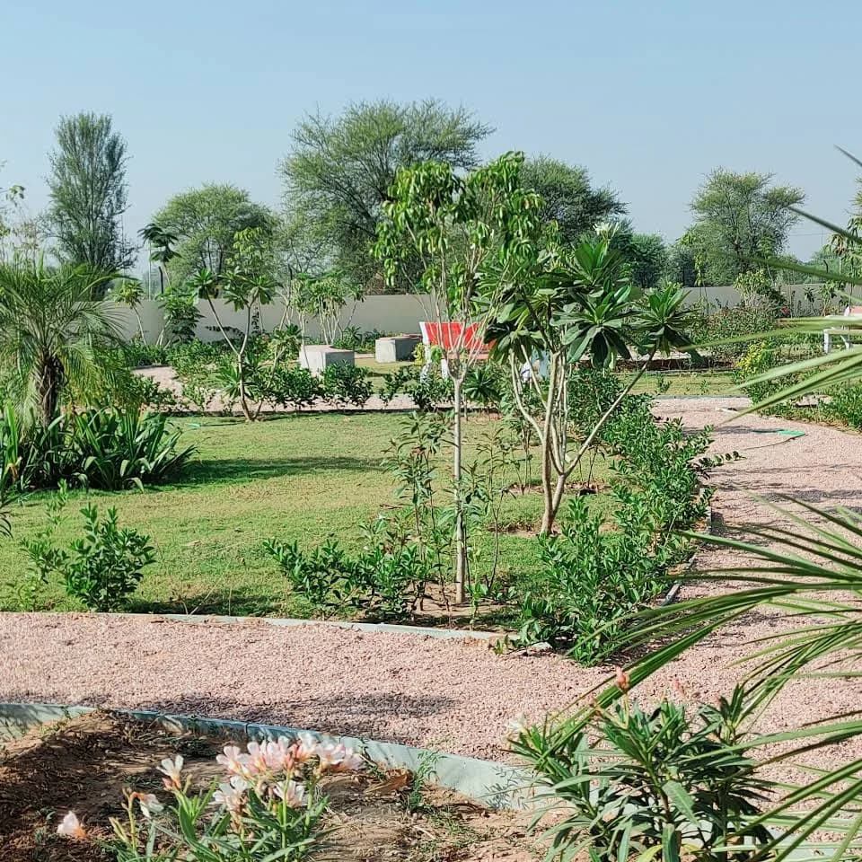 Happy The Pleasure Garden, Mandau