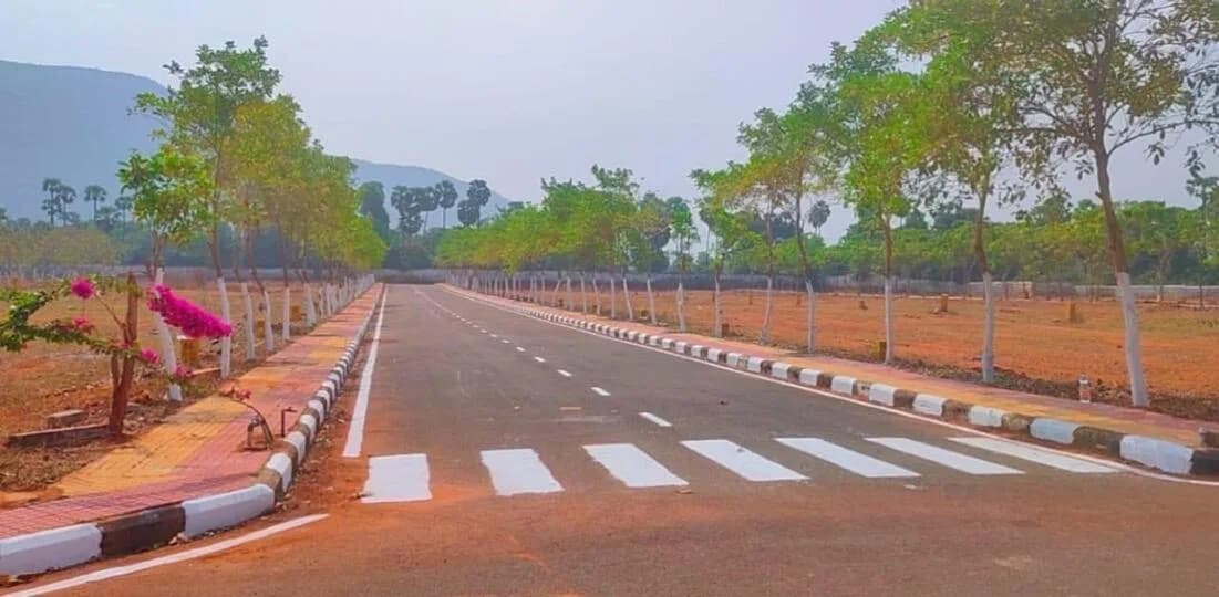 Fortune Google, Anandapuram