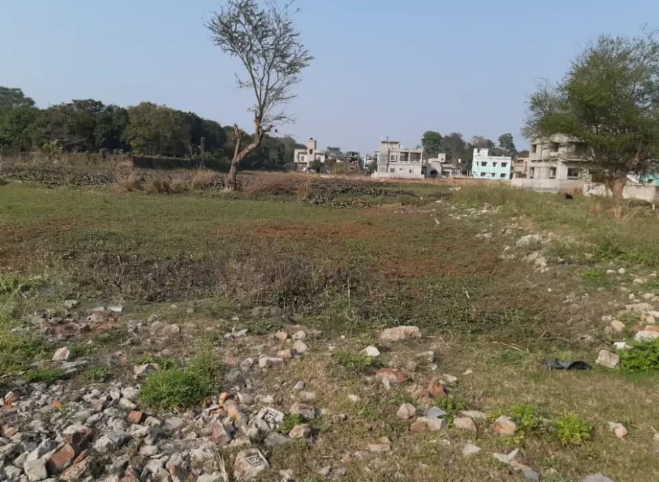 Rupbasuda Green Plaza, Joka