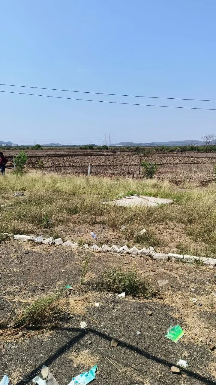 Honey Plots, Ranjanpada