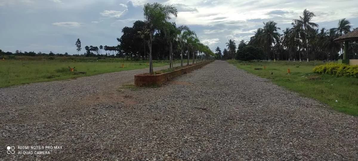 Prakruti Red Carpet — Site View