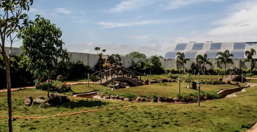 Dhanaas Vrikshaa — Garden