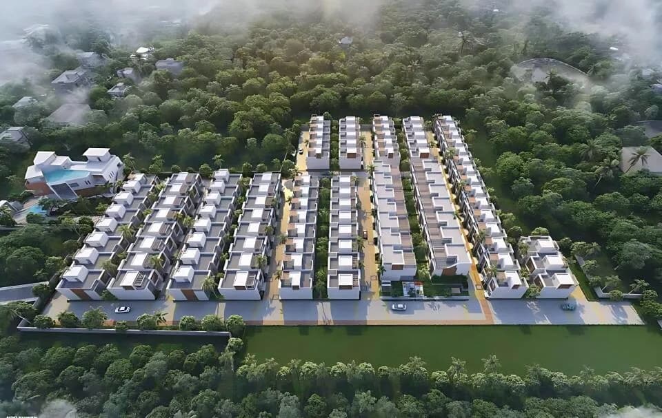 DTC Palm Grove, Joka