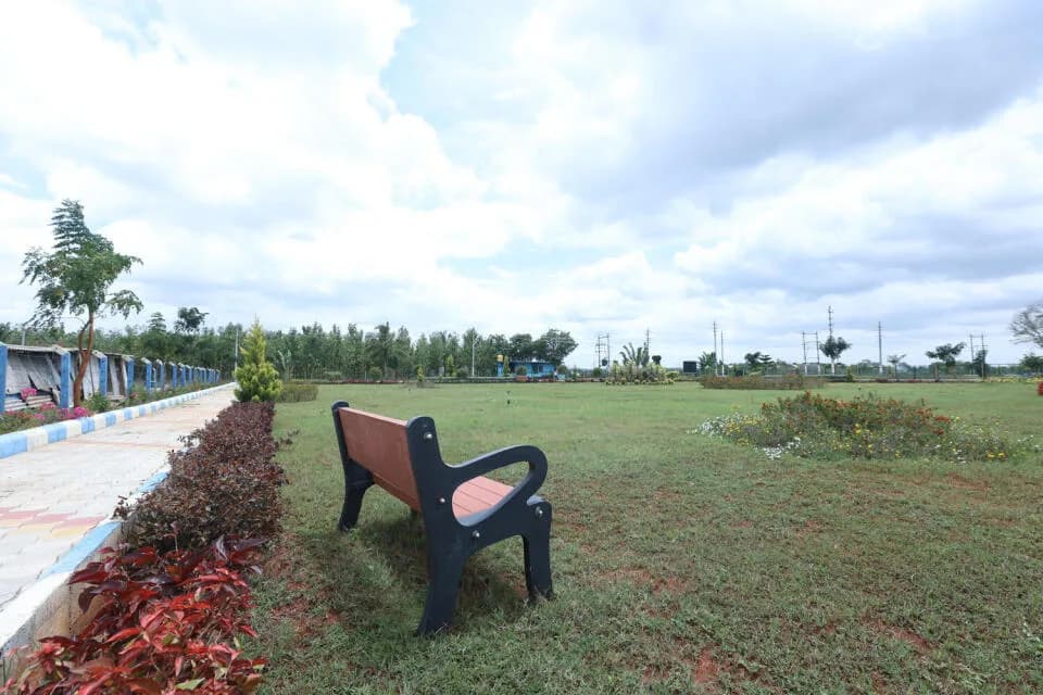 Rai Dream City, Bogadi