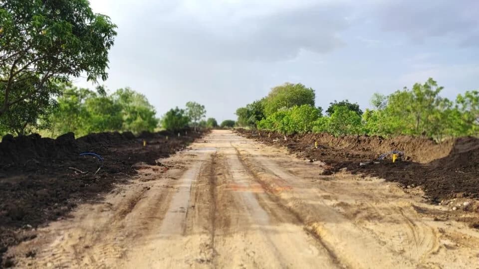 Alekhya Amara County, Sadashivpet